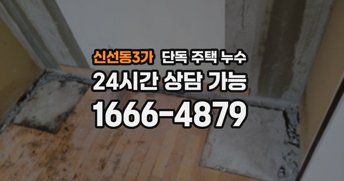 신선동3가 단독 주택 누수