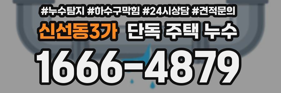 신선동3가 단독 주택 누수