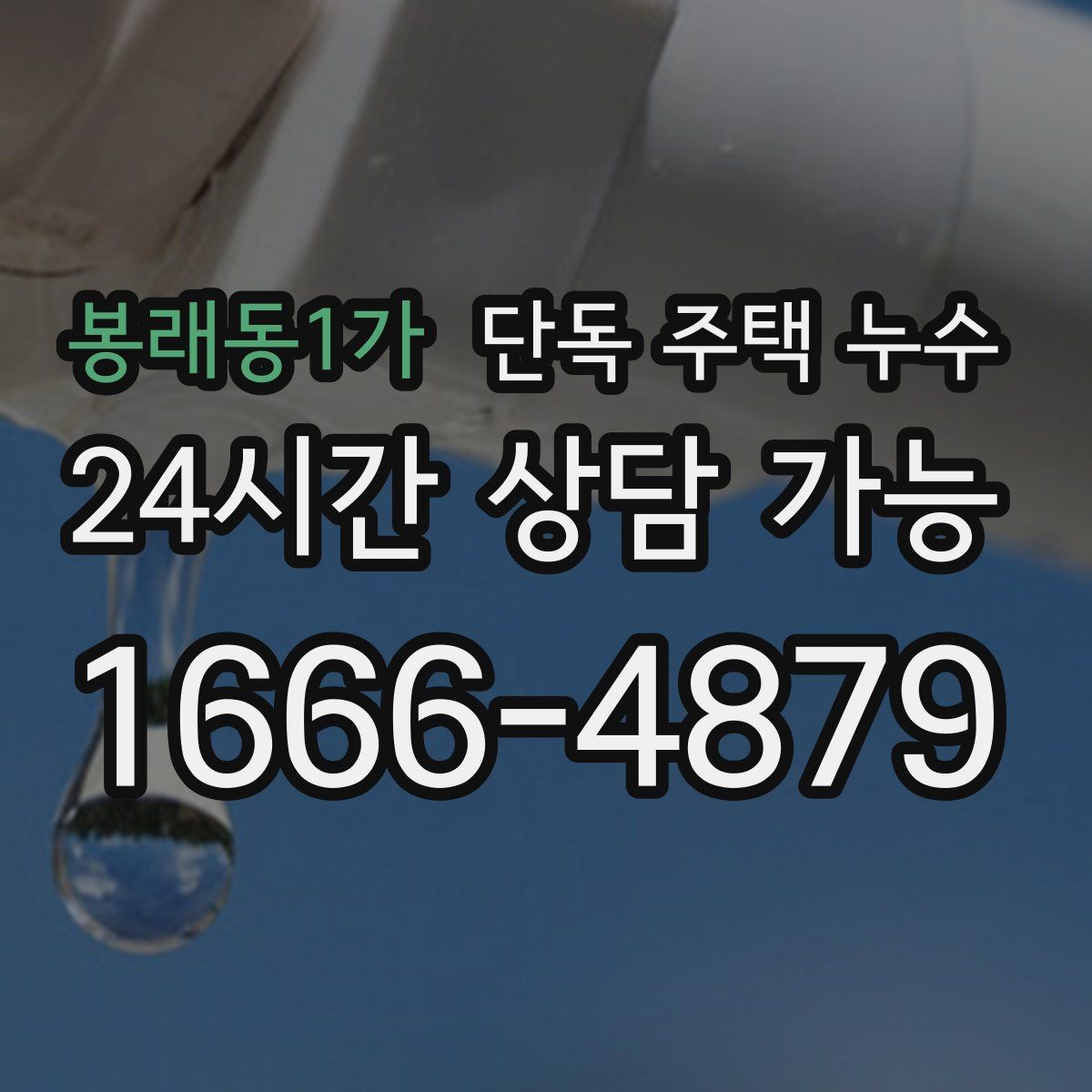 봉래동1가 단독 주택 누수