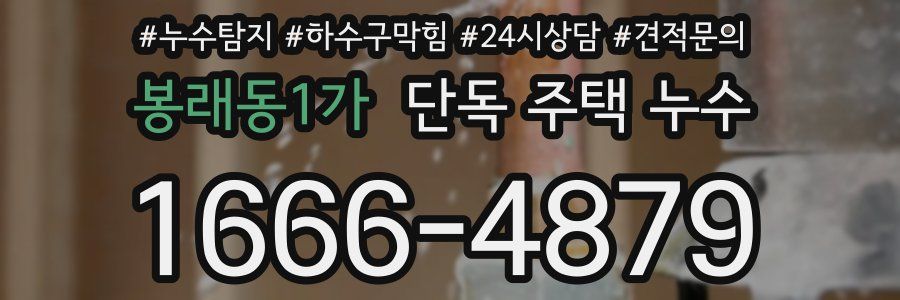 봉래동1가 단독 주택 누수