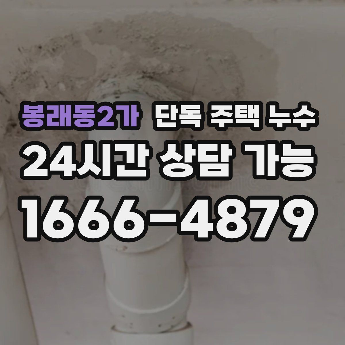 봉래동2가 단독 주택 누수 주방 하부장 뒤 벽이 젖을 때