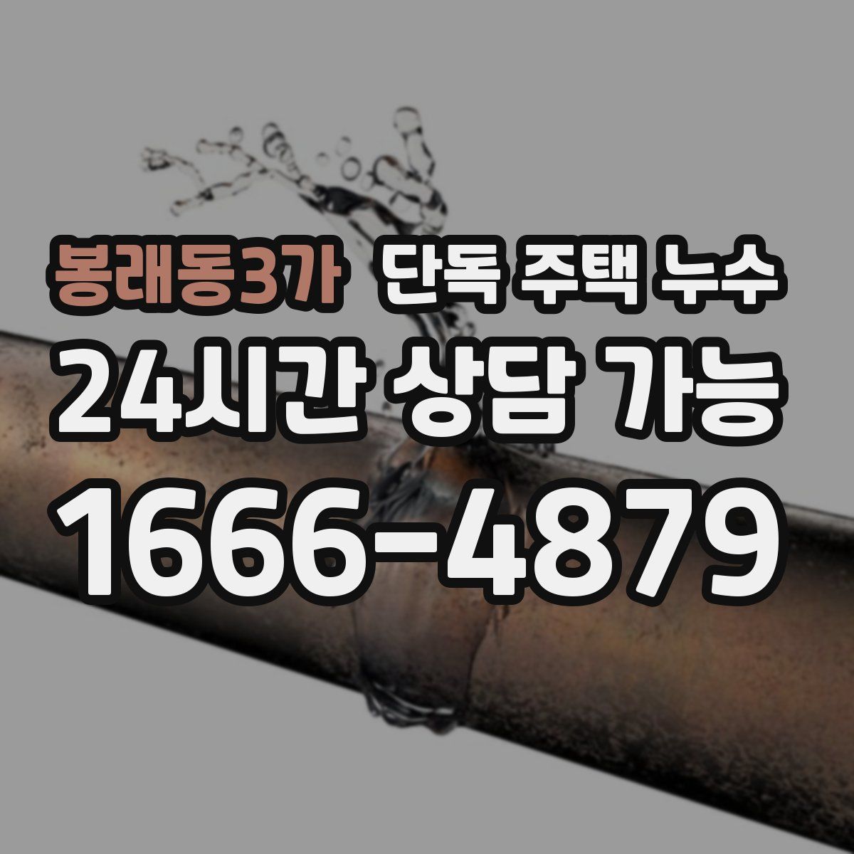 봉래동3가 단독 주택 누수