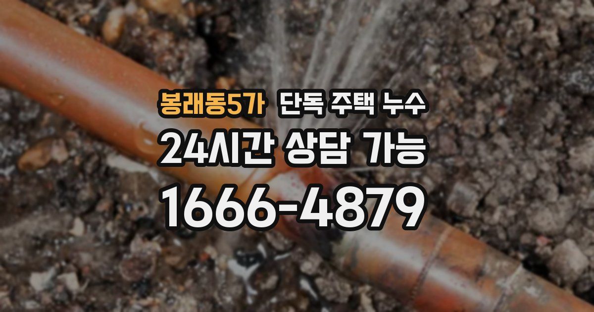 봉래동5가 단독 주택 누수