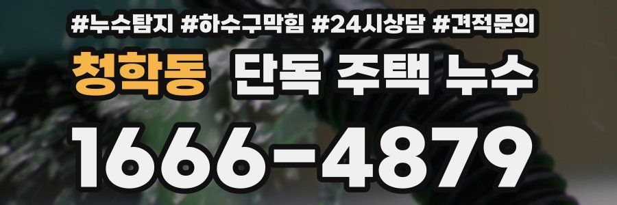 청학동 단독 주택 누수