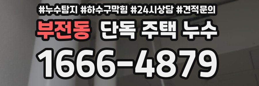 부전동 단독 주택 누수