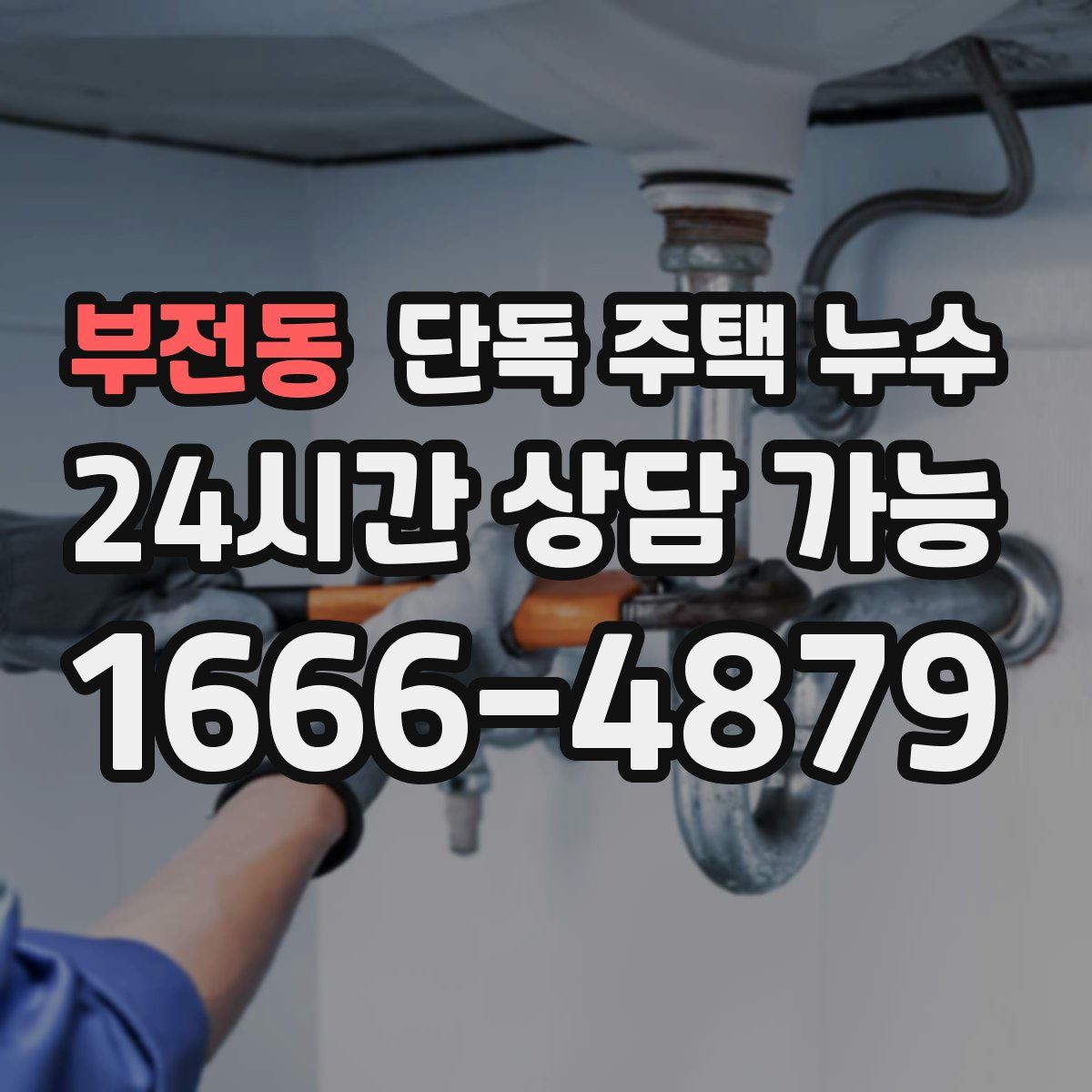 부전동 단독 주택 누수