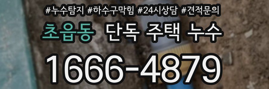 초읍동 단독 주택 누수