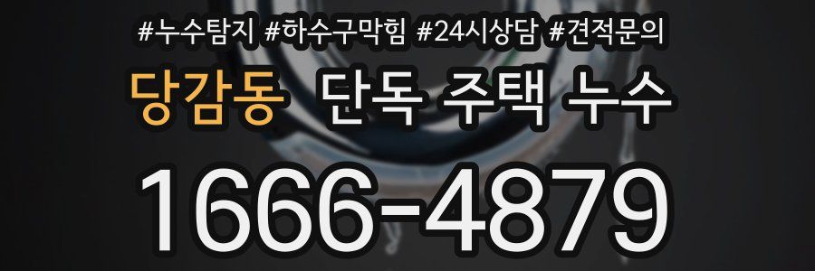 당감동 단독 주택 누수