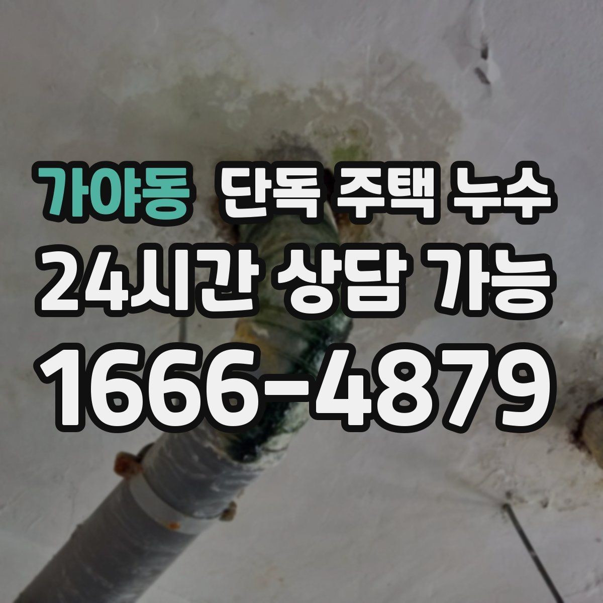 가야동 단독 주택 누수 집 전체가 축축할 때 배수 문제 의심하기
