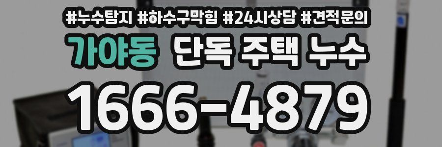 가야동 단독 주택 누수