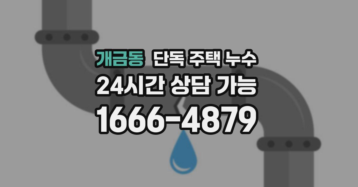 개금동 단독 주택 누수