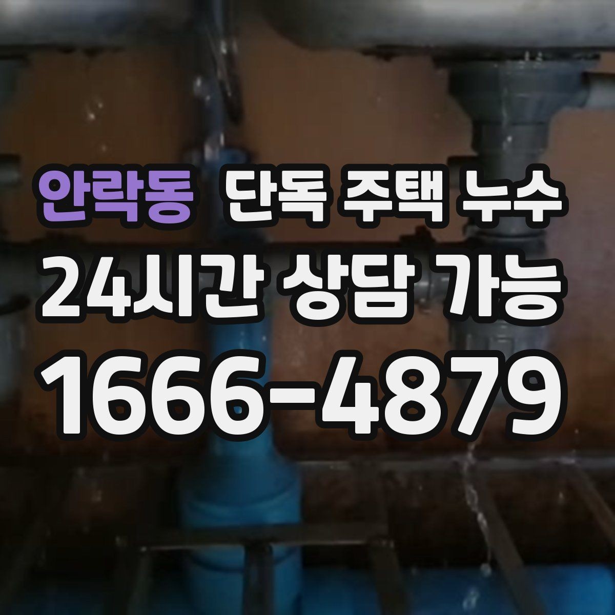 안락동 단독 주택 누수 외벽 타공 부위에서 물이 타고 들어올 때