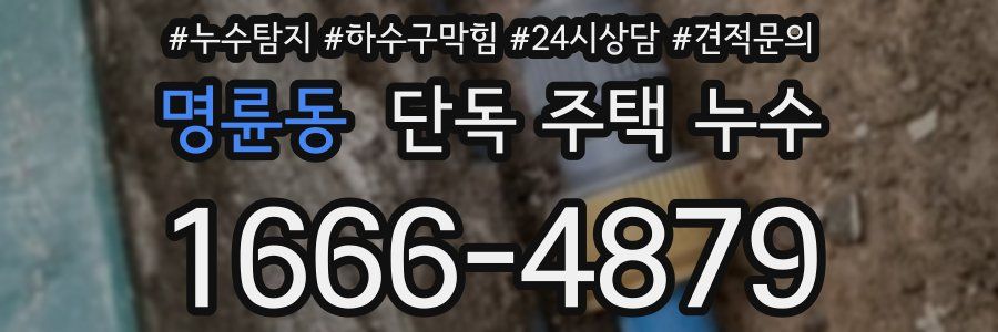 명륜동 단독 주택 누수