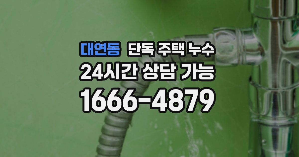 대연동 단독 주택 누수