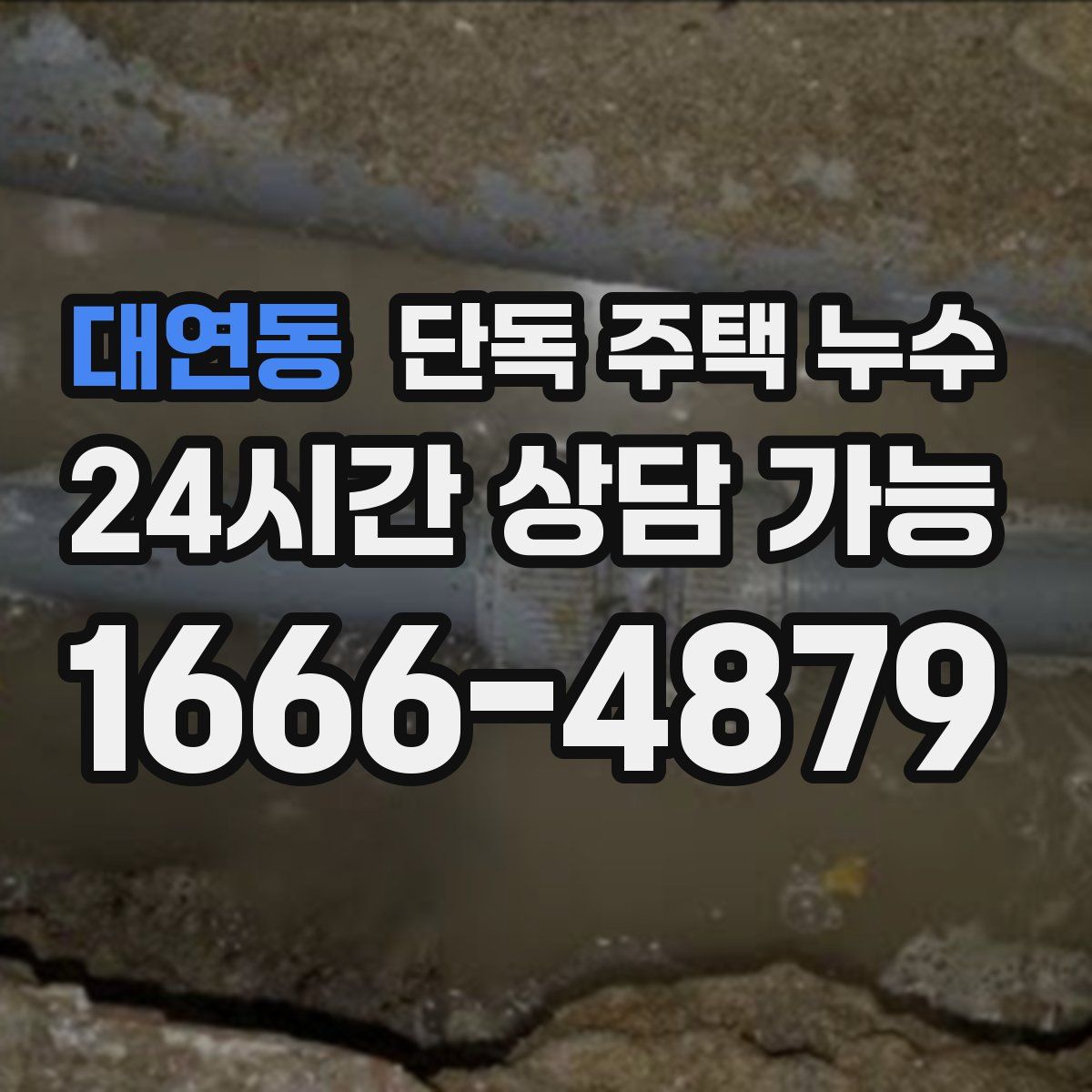 대연동 단독 주택 누수