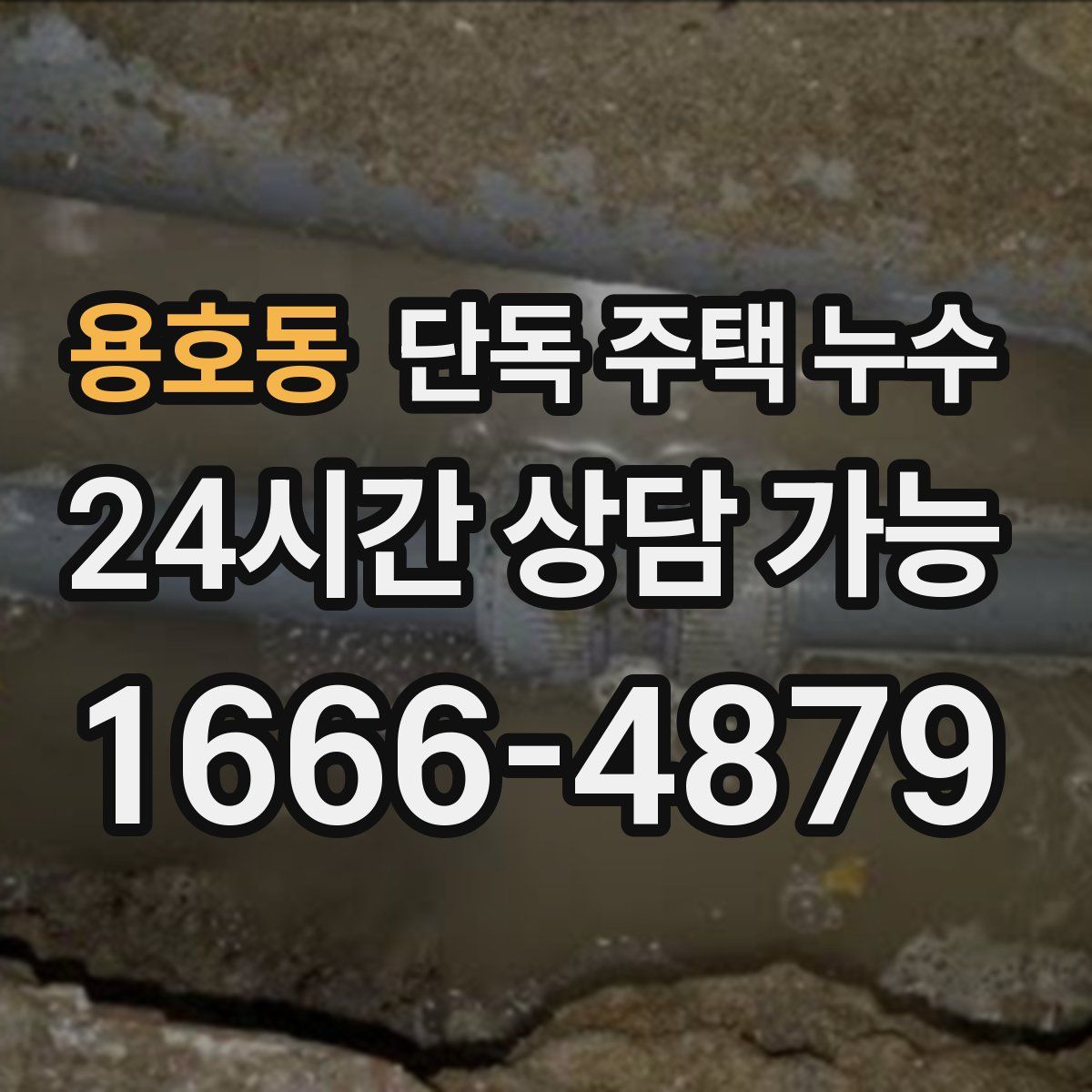 용호동 단독 주택 누수