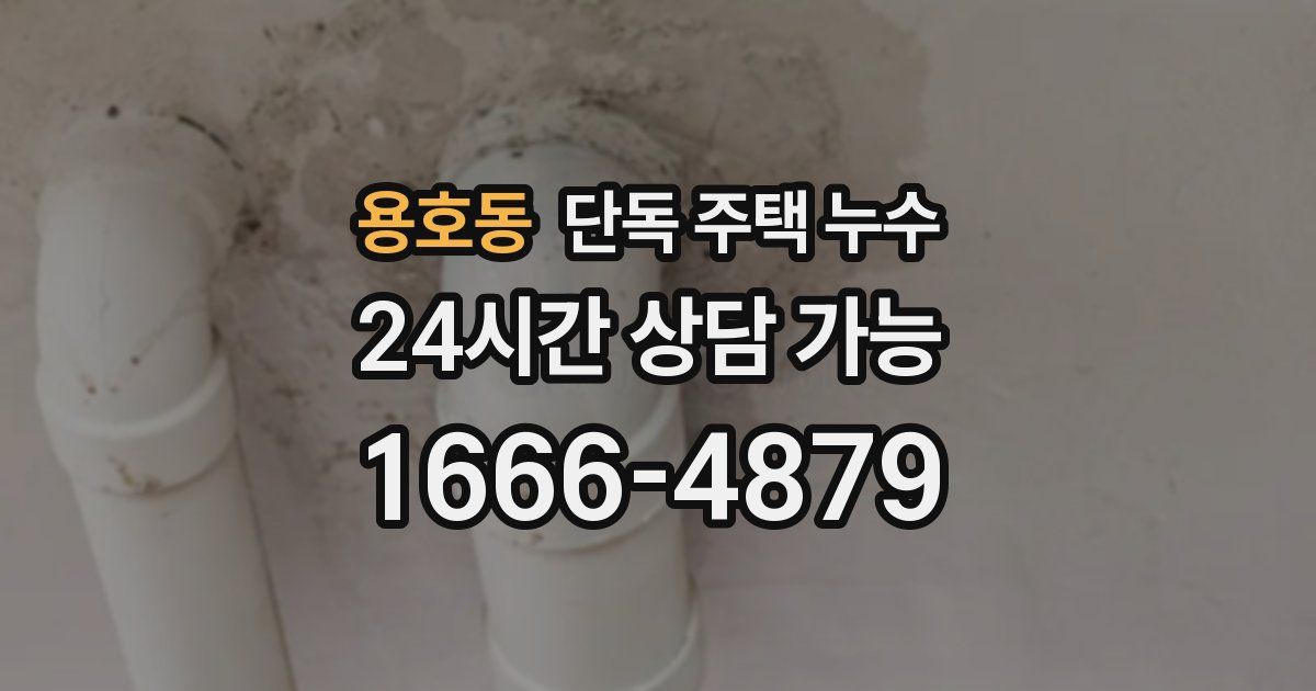 용호동 단독 주택 누수