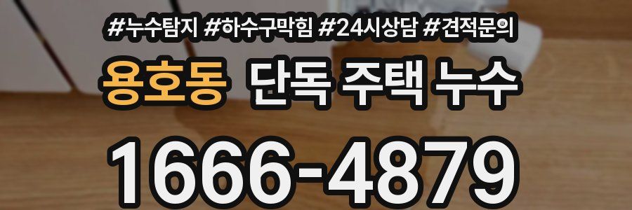 용호동 단독 주택 누수