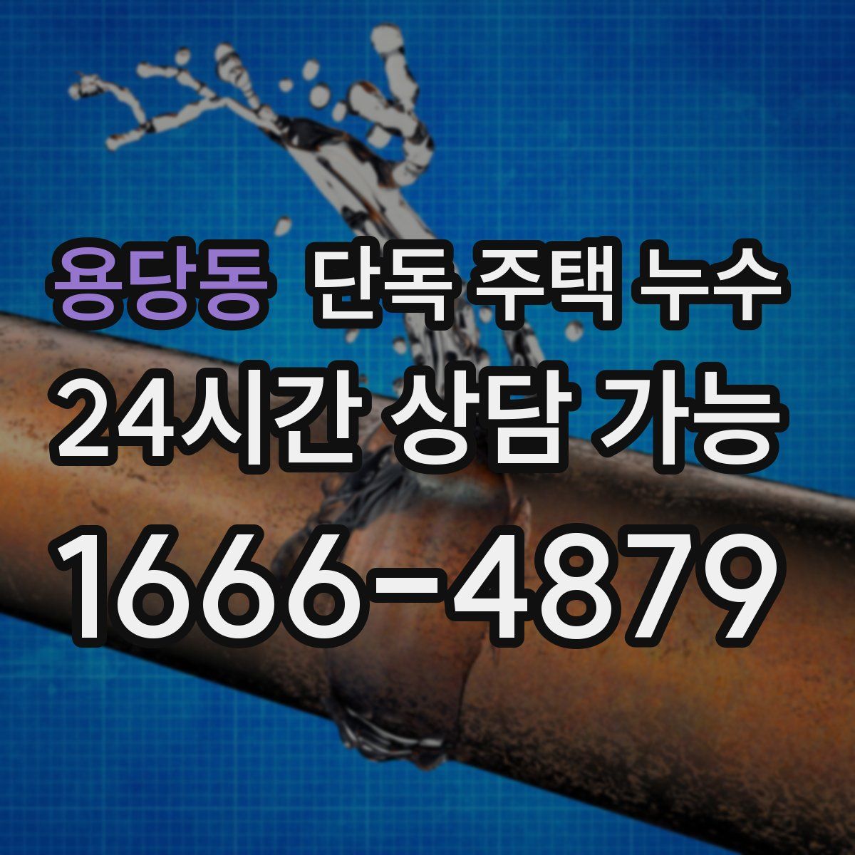 용당동 단독 주택 누수