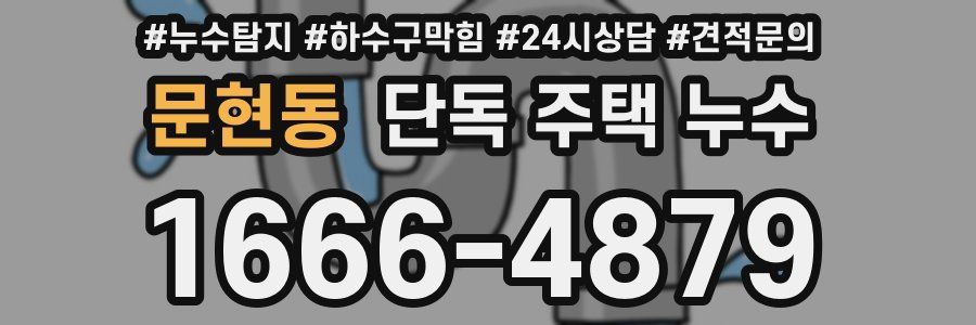 문현동 단독 주택 누수