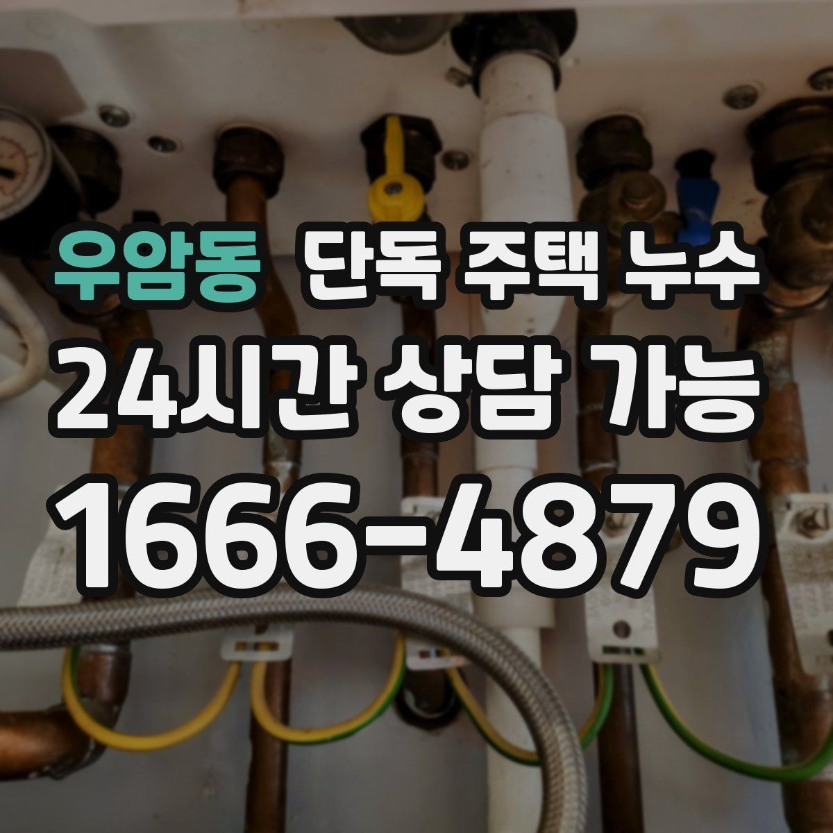 우암동 단독 주택 누수 천장 얼룩이 생겼을 때 확인할 순서