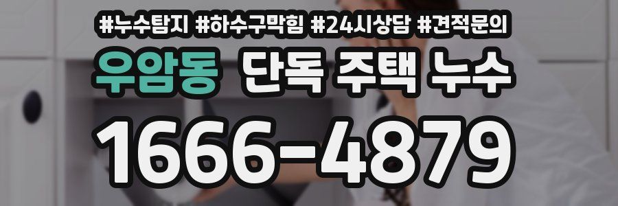 우암동 단독 주택 누수