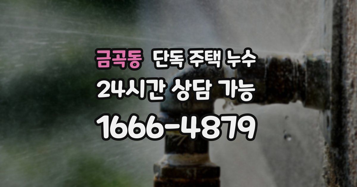 금곡동 단독 주택 누수