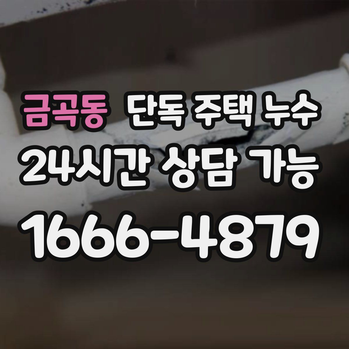 금곡동 단독 주택 누수