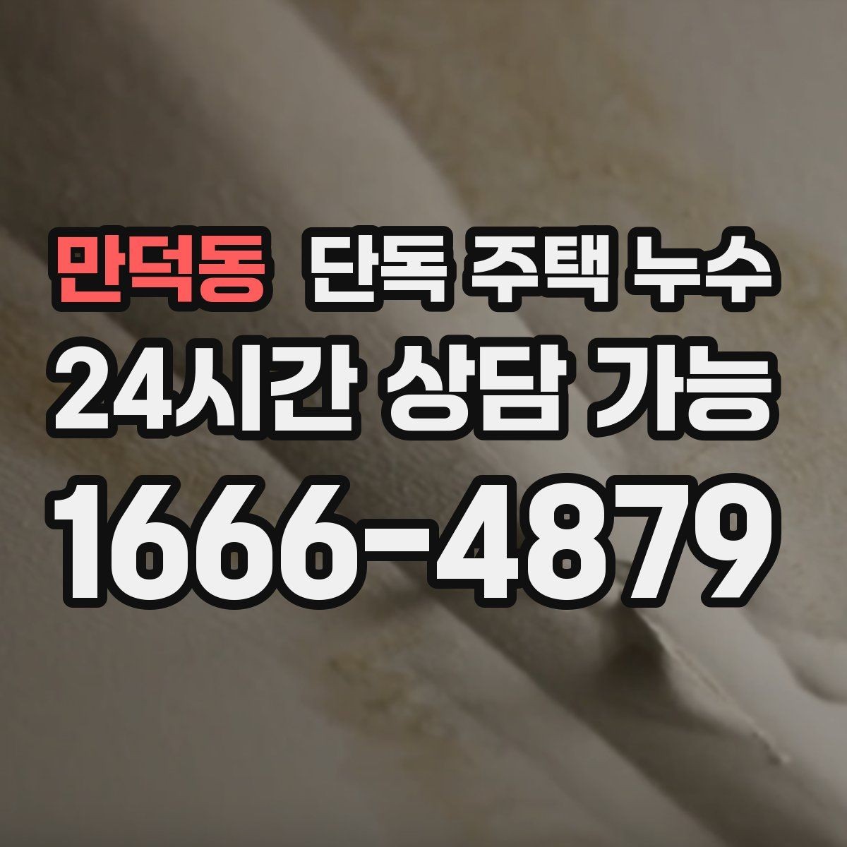 만덕동 단독 주택 누수 습도 높은 날에만 곰팡이가 심해질 때