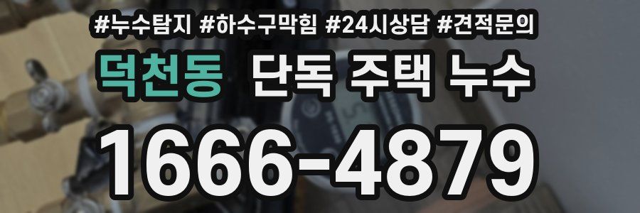 덕천동 단독 주택 누수