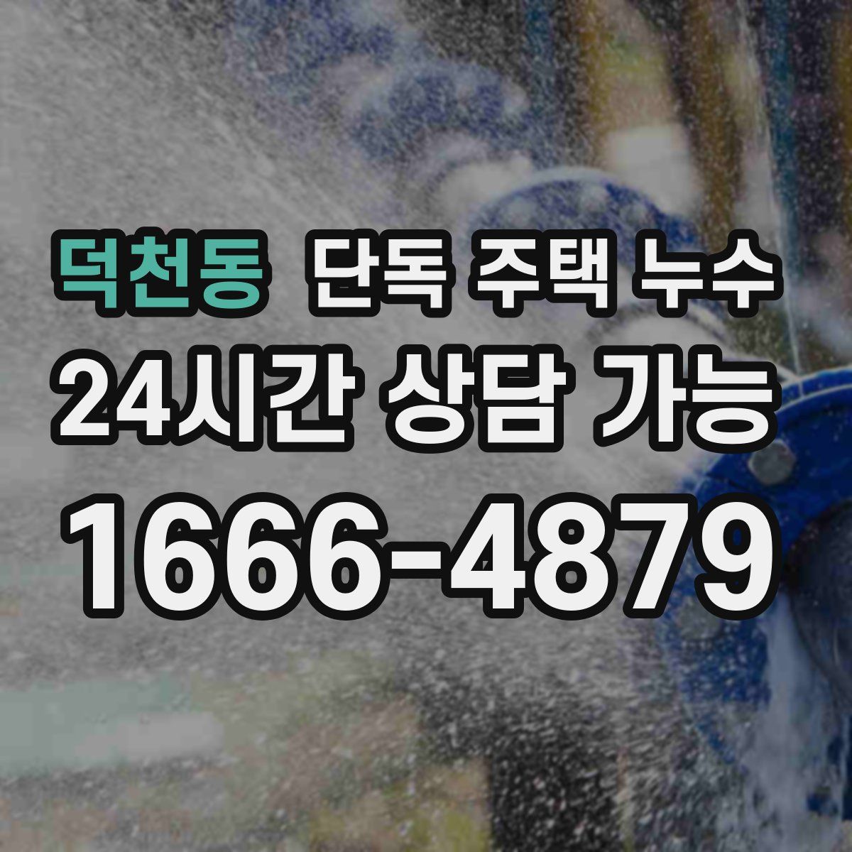 덕천동 단독 주택 누수