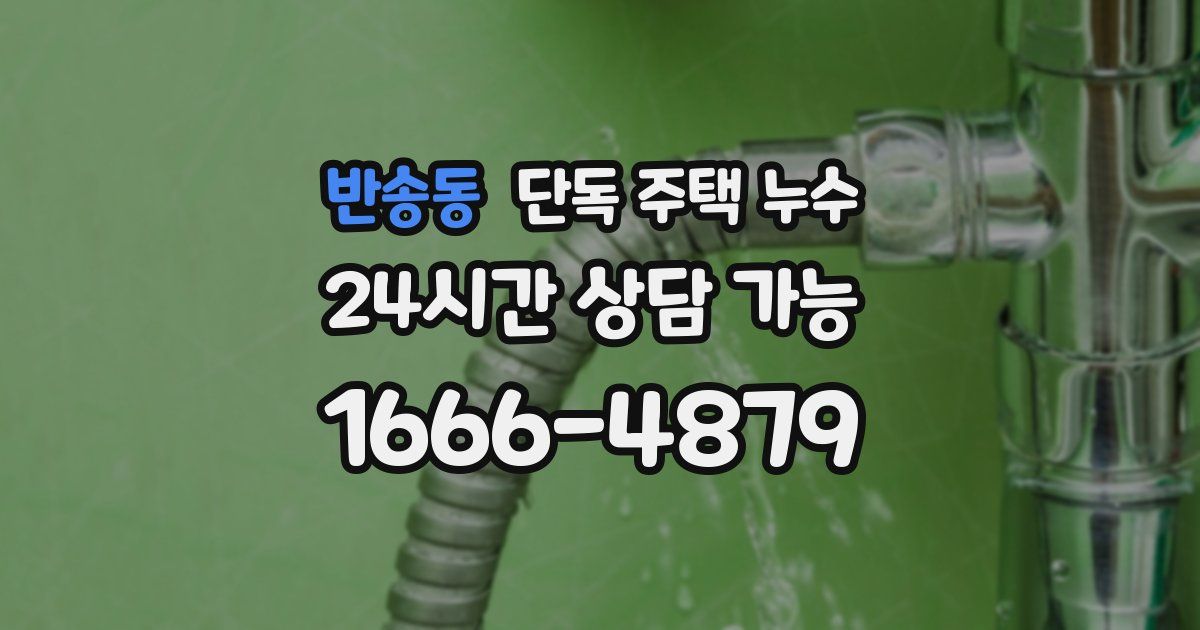 반송동 단독 주택 누수