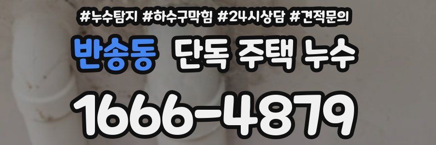 반송동 단독 주택 누수