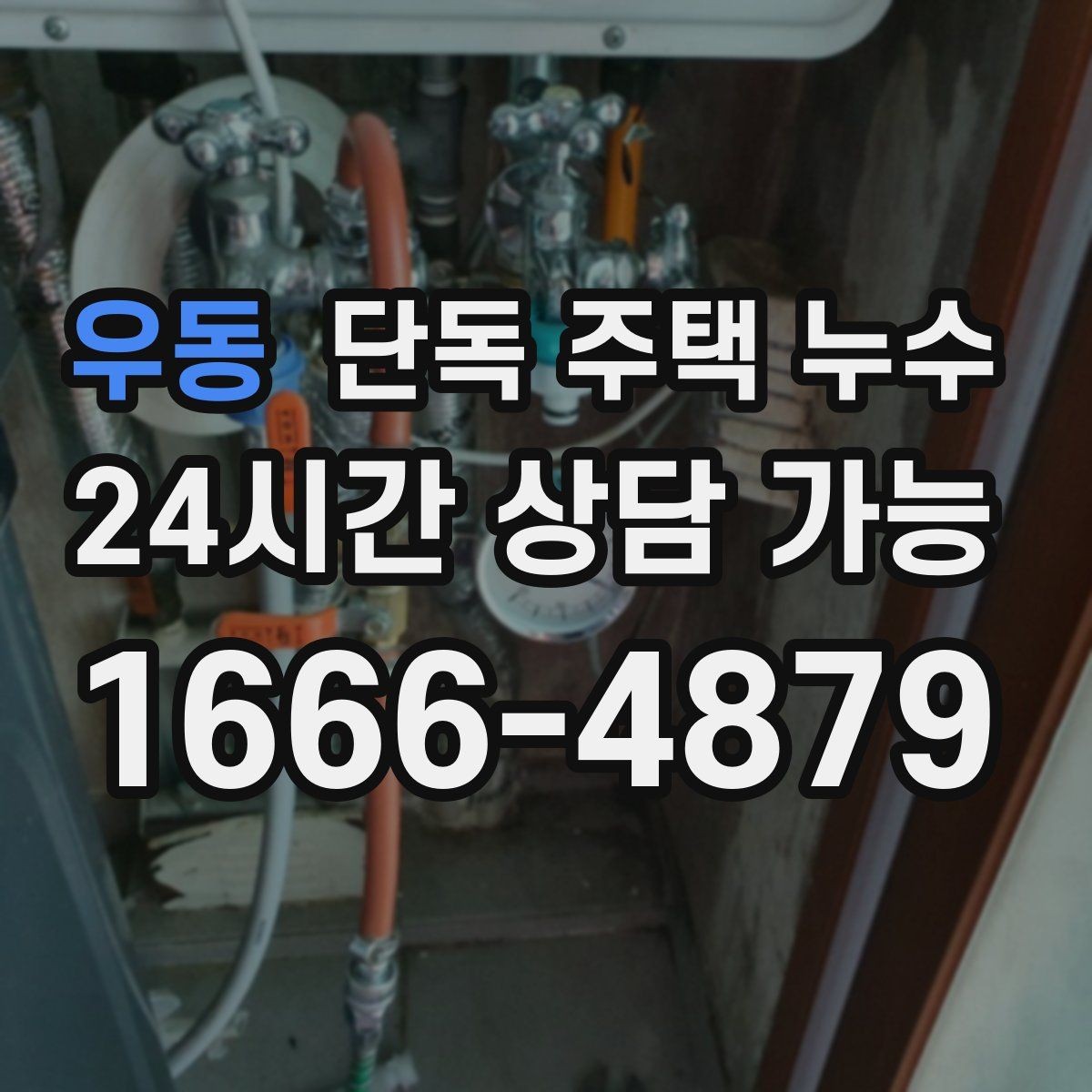 우동 단독 주택 누수 외벽면 방에서 곰팡이가 심한 이유