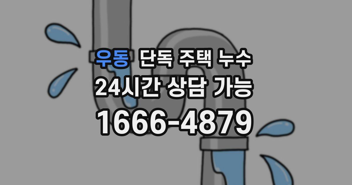우동 단독 주택 누수