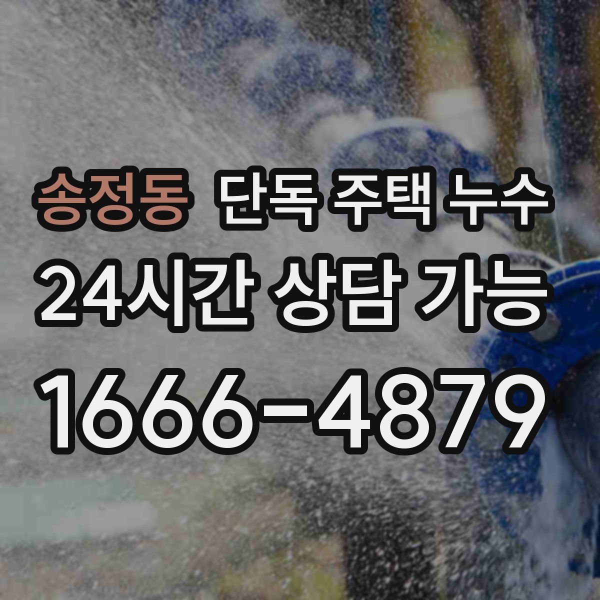 송정동 단독 주택 누수