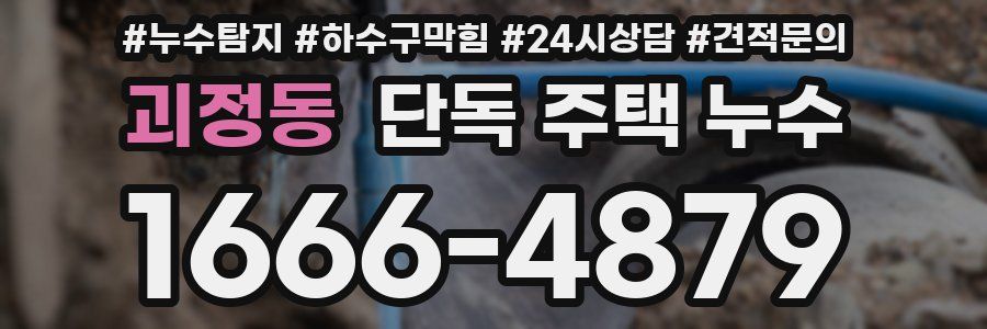 괴정동 단독 주택 누수