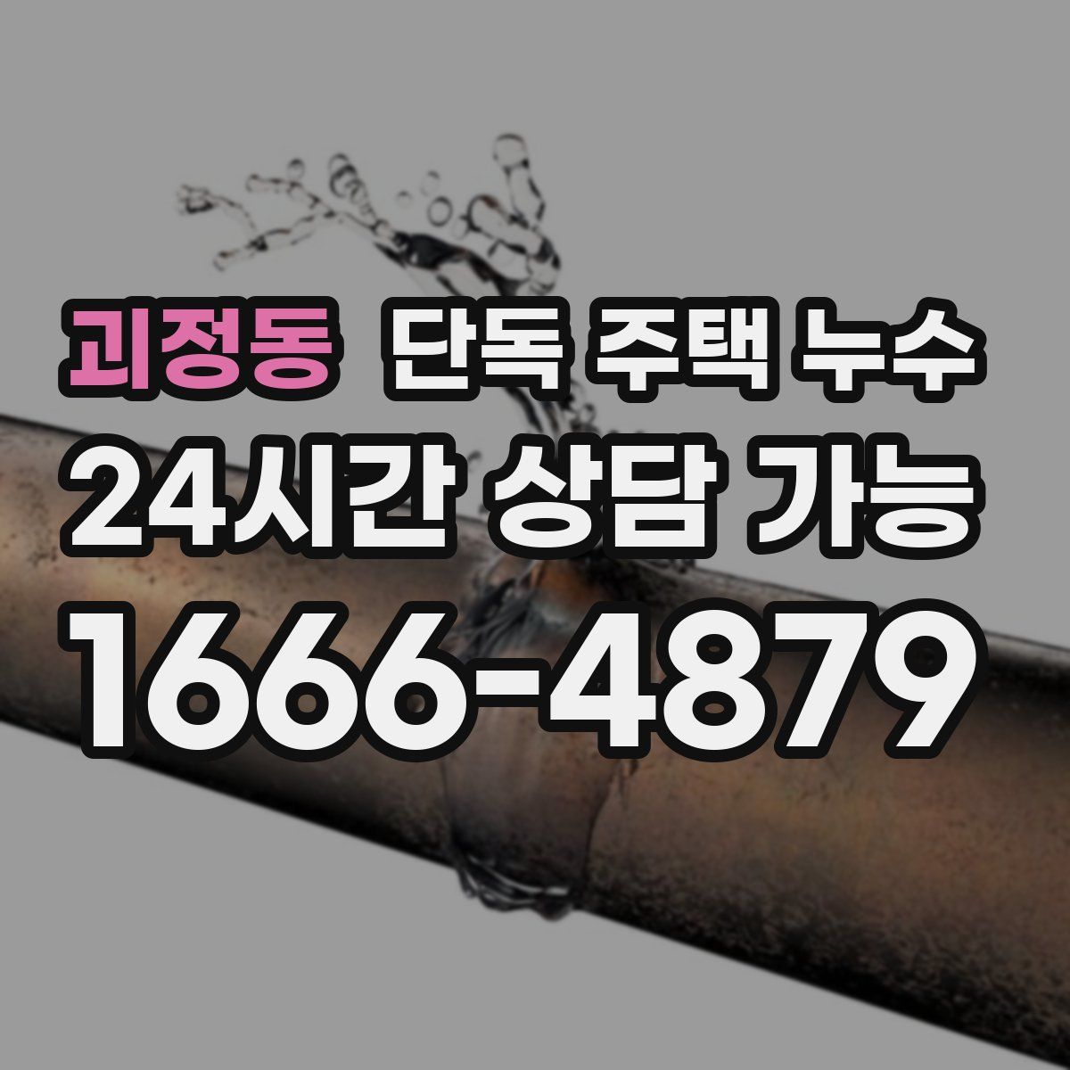 괴정동 단독 주택 누수