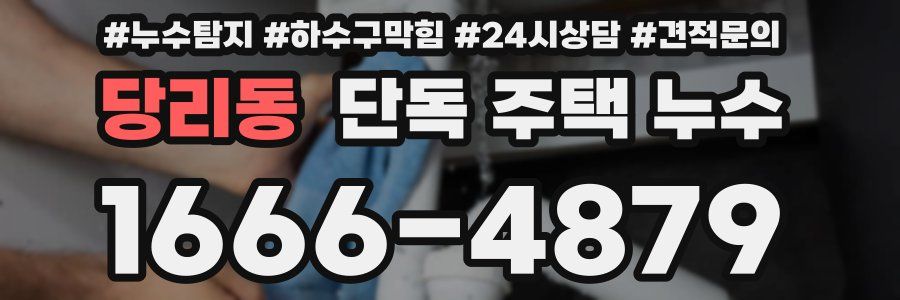 당리동 단독 주택 누수