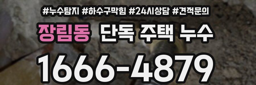 장림동 단독 주택 누수