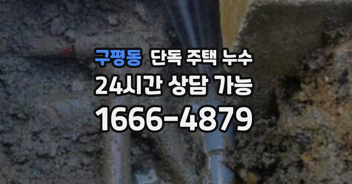 구평동 단독 주택 누수