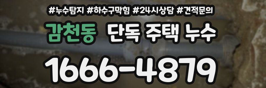 감천동 단독 주택 누수