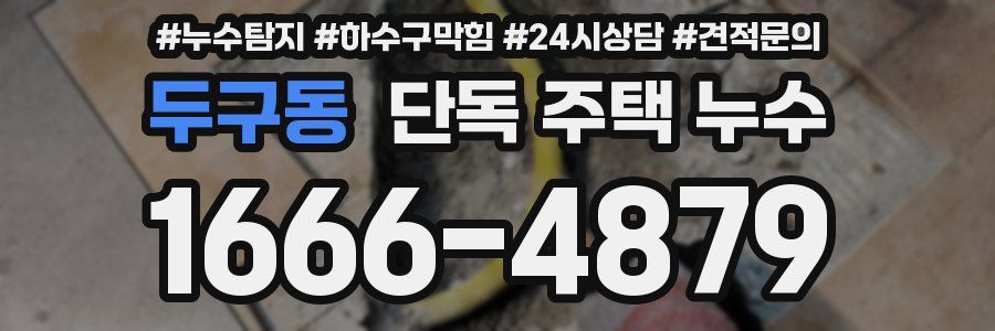두구동 단독 주택 누수