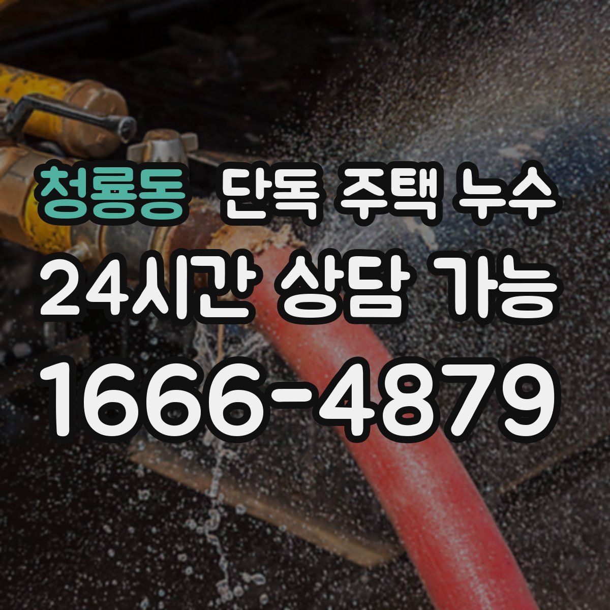 청룡동 단독 주택 누수