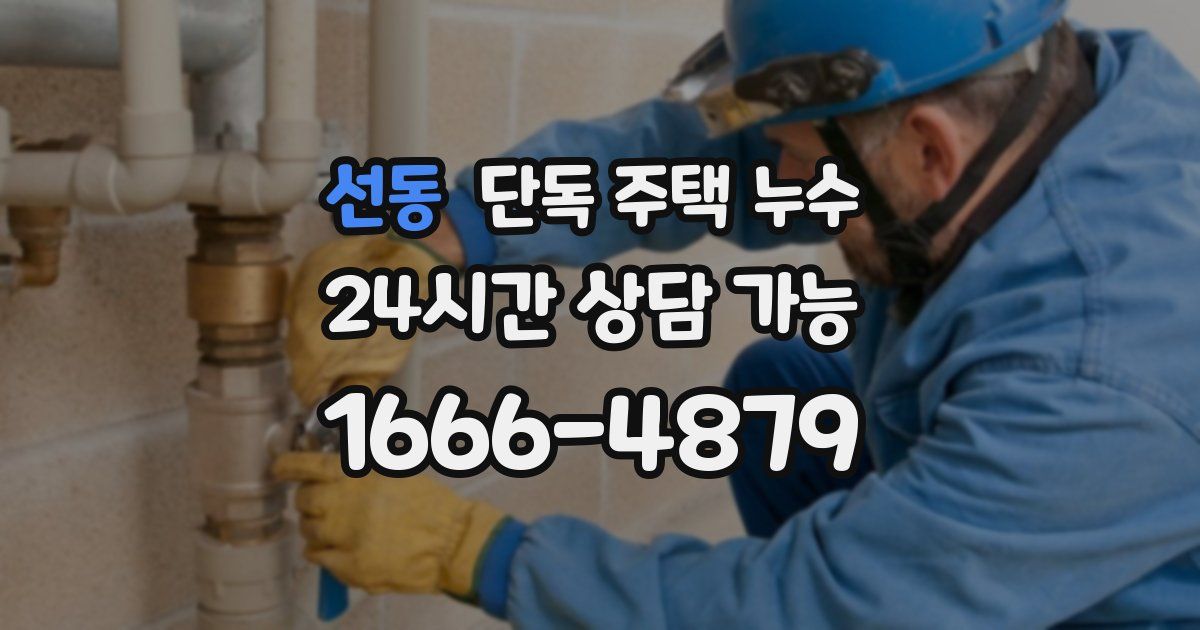 선동 단독 주택 누수