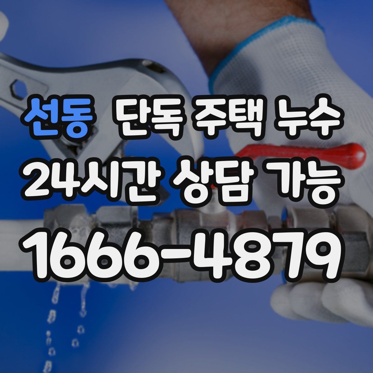 선동 단독 주택 누수