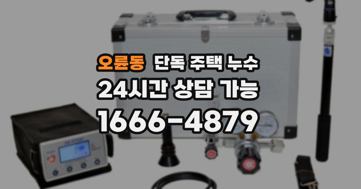 오륜동 단독 주택 누수