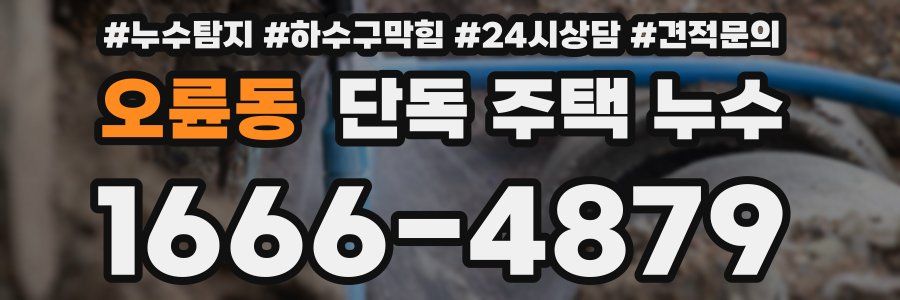오륜동 단독 주택 누수