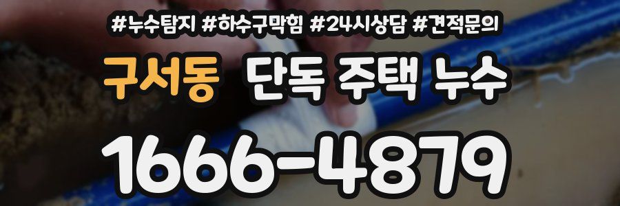 구서동 단독 주택 누수