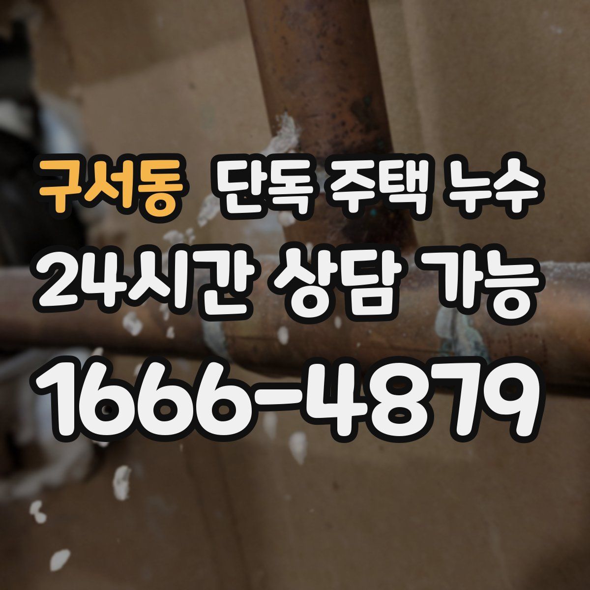 구서동 단독 주택 누수